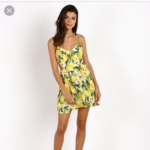 Show Me Your MuMu Piper Dress